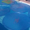 Solar Sun Rings Palm: sun heater, zwembadverwaming, zwembad verwarmer, pool heaters